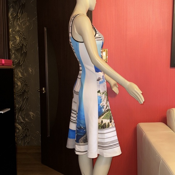 Clover Canyon printed fit and flare scuba knee dress S - Picture 8 of 14